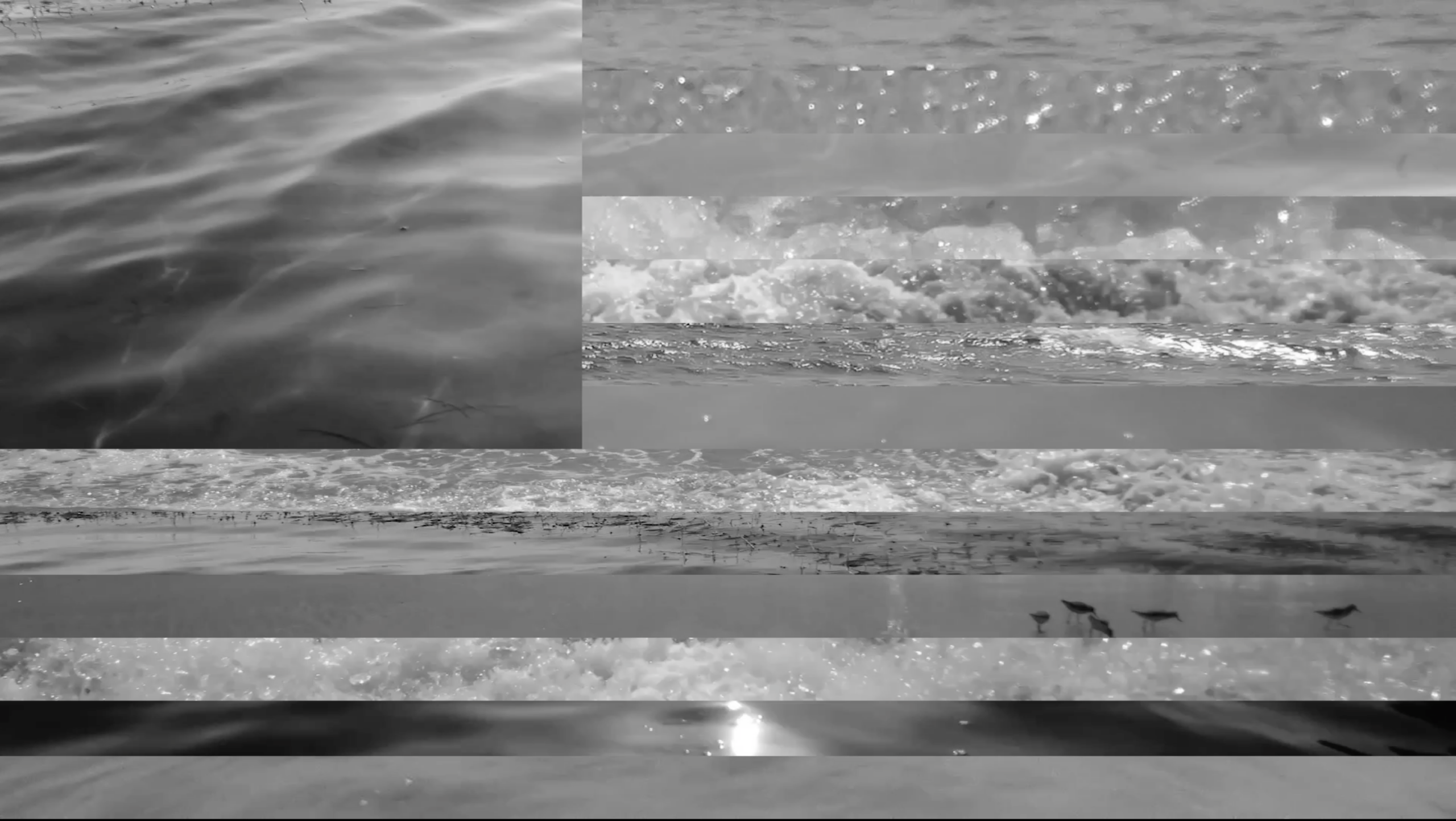 Savannah Faith Jackson. Video installation, indigo dyed curtains,
and
framed texts.
Dimensions variable.